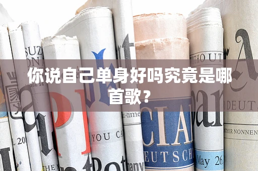你说自己单身好吗究竟是哪首歌？