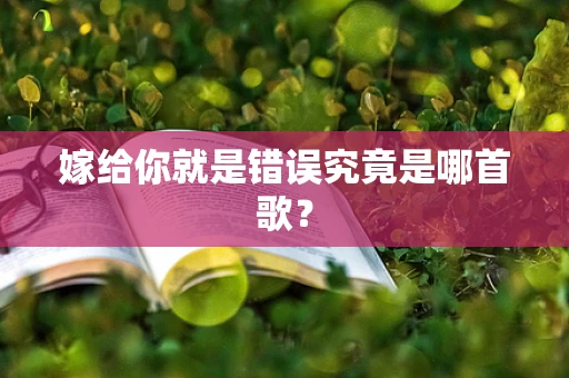 嫁给你就是错误究竟是哪首歌？