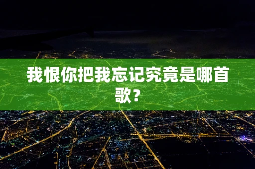 我恨你把我忘记究竟是哪首歌？