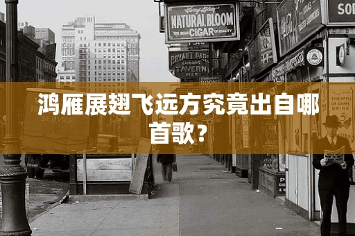 鸿雁展翅飞远方究竟出自哪首歌？