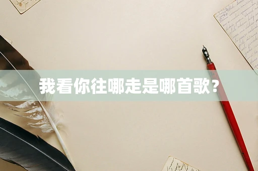 我看你往哪走是哪首歌？