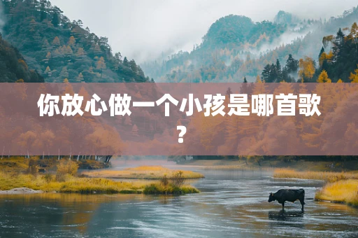 你放心做一个小孩是哪首歌？
