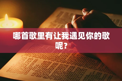 哪首歌里有让我遇见你的歌呢？