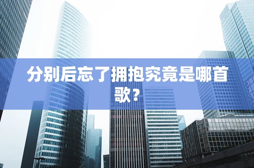 分别后忘了拥抱究竟是哪首歌？