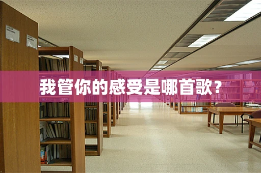我管你的感受是哪首歌？
