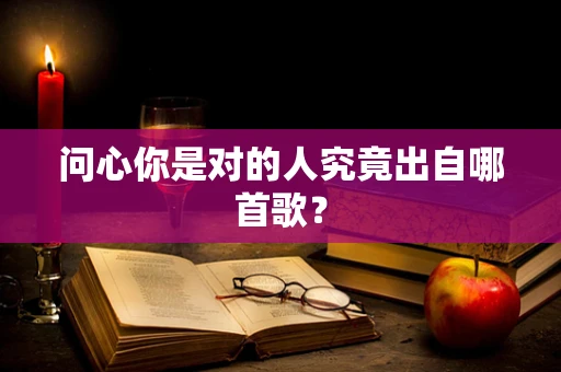 问心你是对的人究竟出自哪首歌？