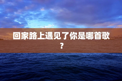 回家路上遇见了你是哪首歌？