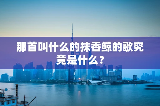 那首叫什么的抹香鲸的歌究竟是什么？