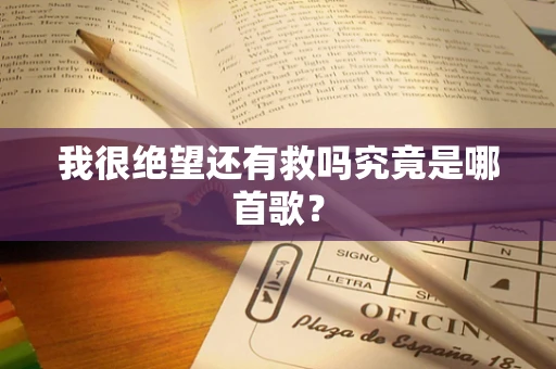 我很绝望还有救吗究竟是哪首歌？