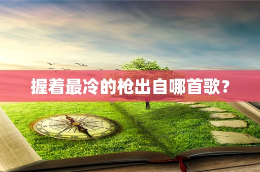 握着最冷的枪出自哪首歌？