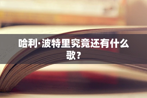 哈利·波特里究竟还有什么歌？