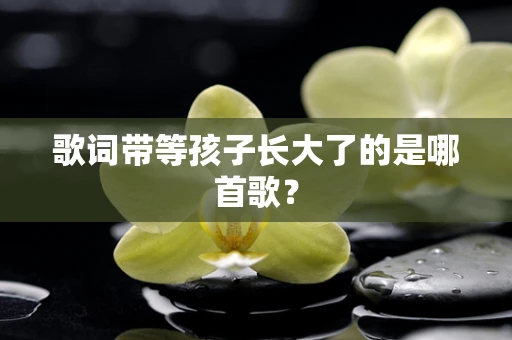 歌词带等孩子长大了的是哪首歌？