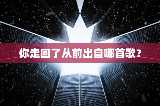 你走回了从前出自哪首歌？
