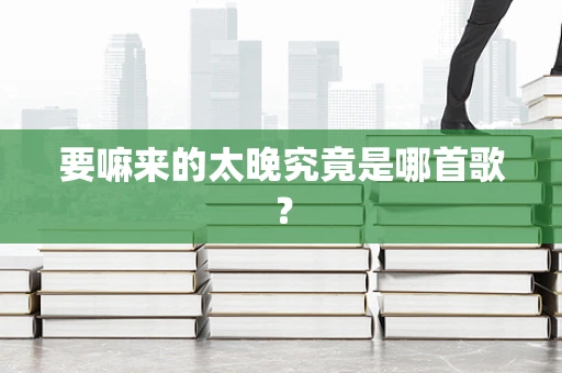 要嘛来的太晚究竟是哪首歌？