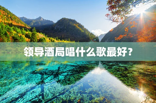 领导酒局唱什么歌最好？