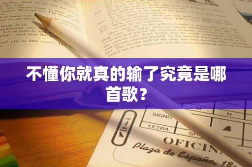 不懂你就真的输了究竟是哪首歌？
