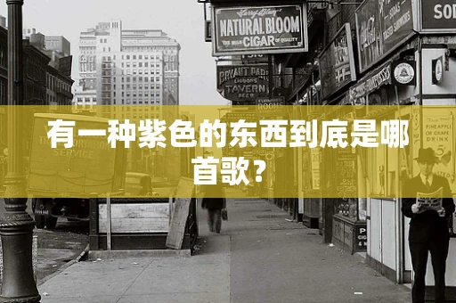 有一种紫色的东西到底是哪首歌？