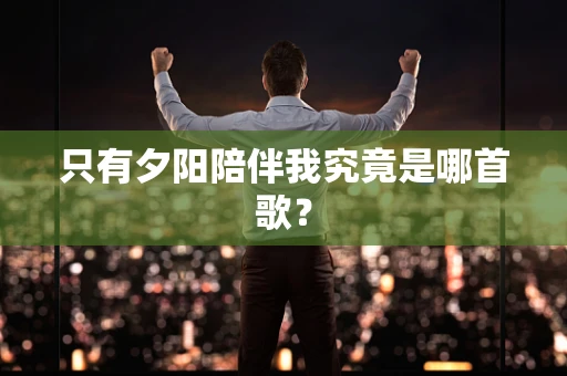 只有夕阳陪伴我究竟是哪首歌？