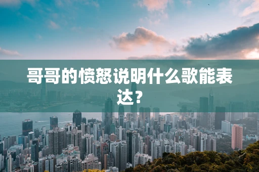 哥哥的愤怒说明什么歌能表达？