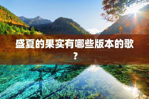 盛夏的果实有哪些版本的歌？