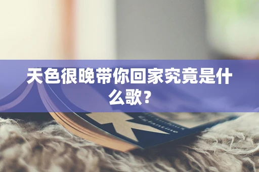天色很晚带你回家究竟是什么歌？