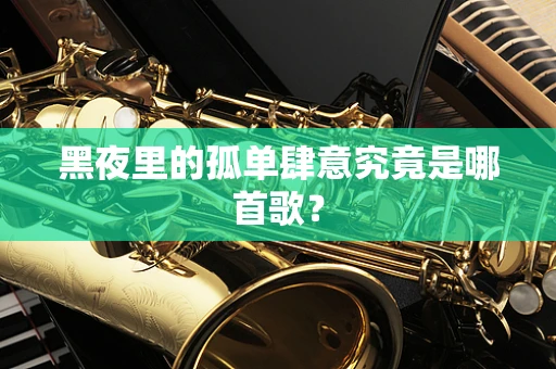 黑夜里的孤单肆意究竟是哪首歌？