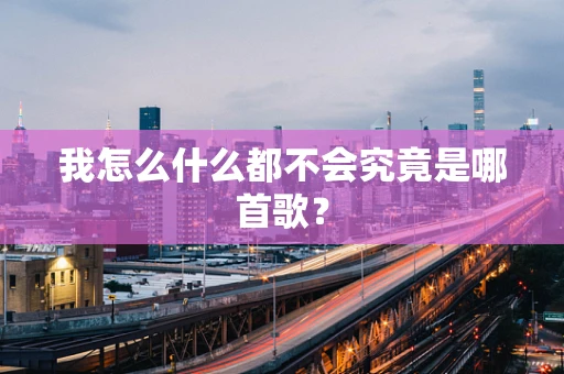 我怎么什么都不会究竟是哪首歌？