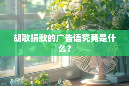胡歌捐款的广告语究竟是什么？