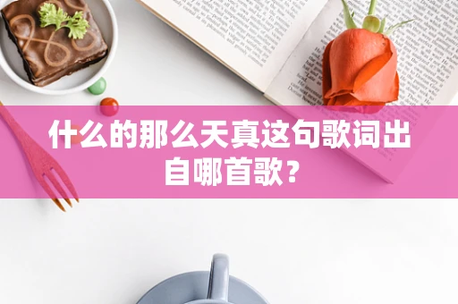 什么的那么天真这句歌词出自哪首歌？