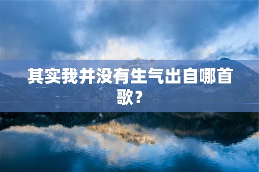 其实我并没有生气出自哪首歌？