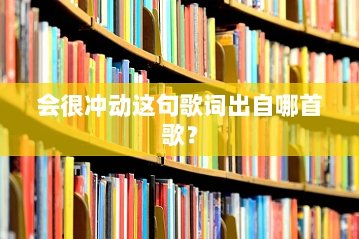 会很冲动这句歌词出自哪首歌？