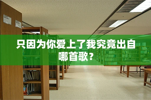只因为你爱上了我究竟出自哪首歌？