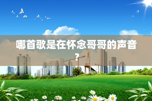 哪首歌是在怀念哥哥的声音？