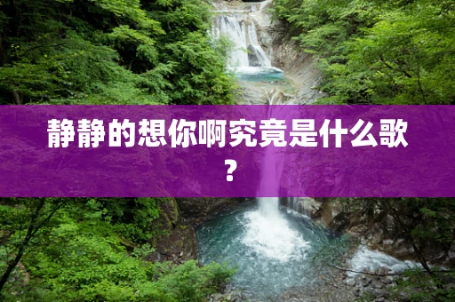 静静的想你啊究竟是什么歌？