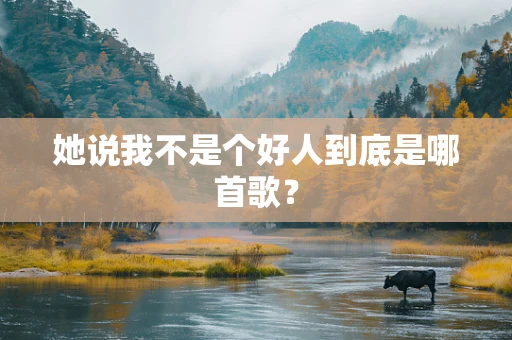 她说我不是个好人到底是哪首歌？
