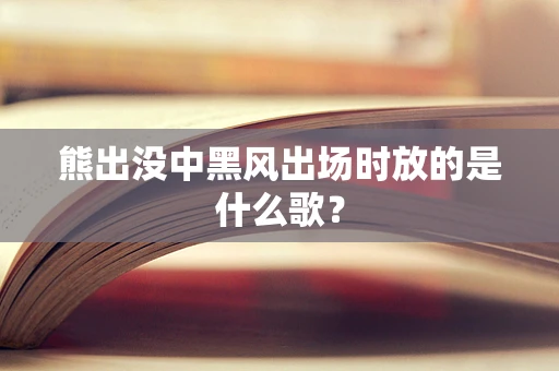 熊出没中黑风出场时放的是什么歌？