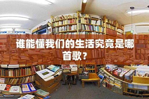 谁能懂我们的生活究竟是哪首歌？