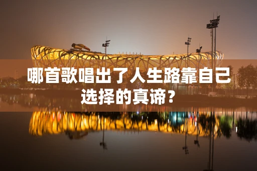 哪首歌唱出了人生路靠自己选择的真谛？