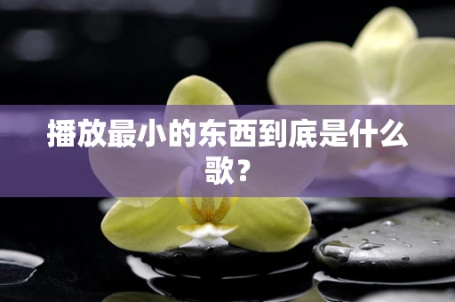 播放最小的东西到底是什么歌？