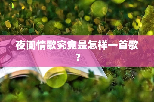 夜阑情歌究竟是怎样一首歌？