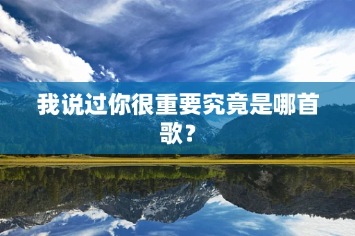 我说过你很重要究竟是哪首歌？