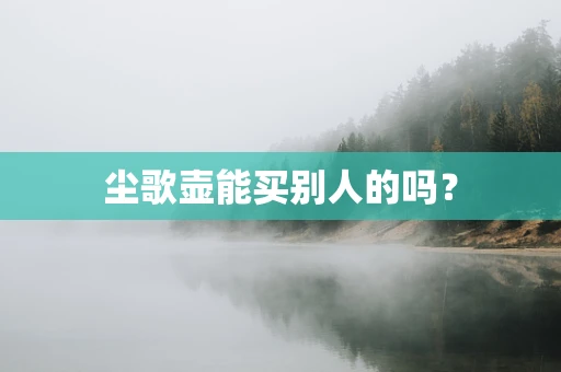 尘歌壶能买别人的吗？