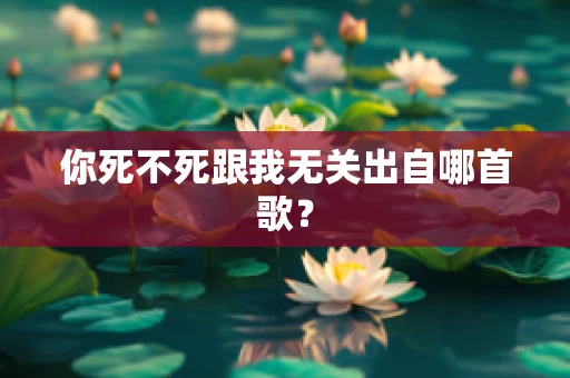 你死不死跟我无关出自哪首歌？