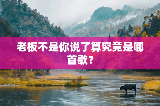 老板不是你说了算究竟是哪首歌？