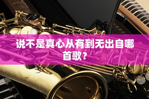 说不是真心从有到无出自哪首歌？