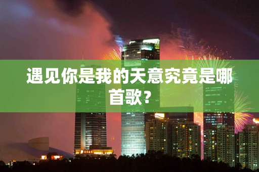遇见你是我的天意究竟是哪首歌？