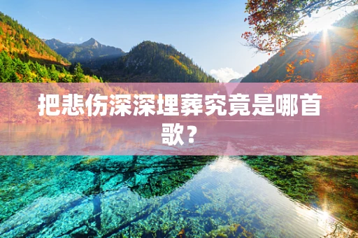 把悲伤深深埋葬究竟是哪首歌？