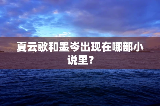 夏云歌和墨岑出现在哪部小说里？
