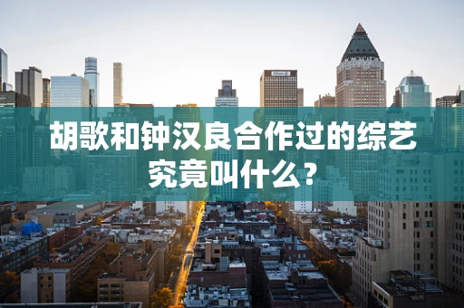 胡歌和钟汉良合作过的综艺究竟叫什么？