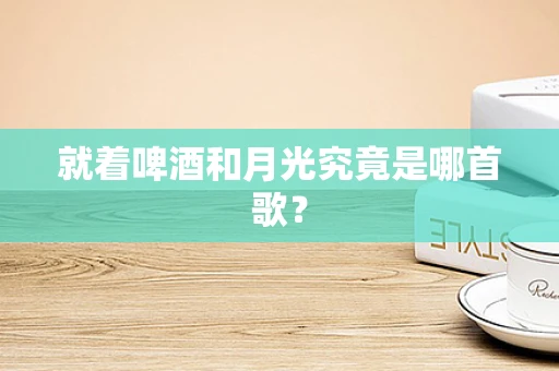 就着啤酒和月光究竟是哪首歌？